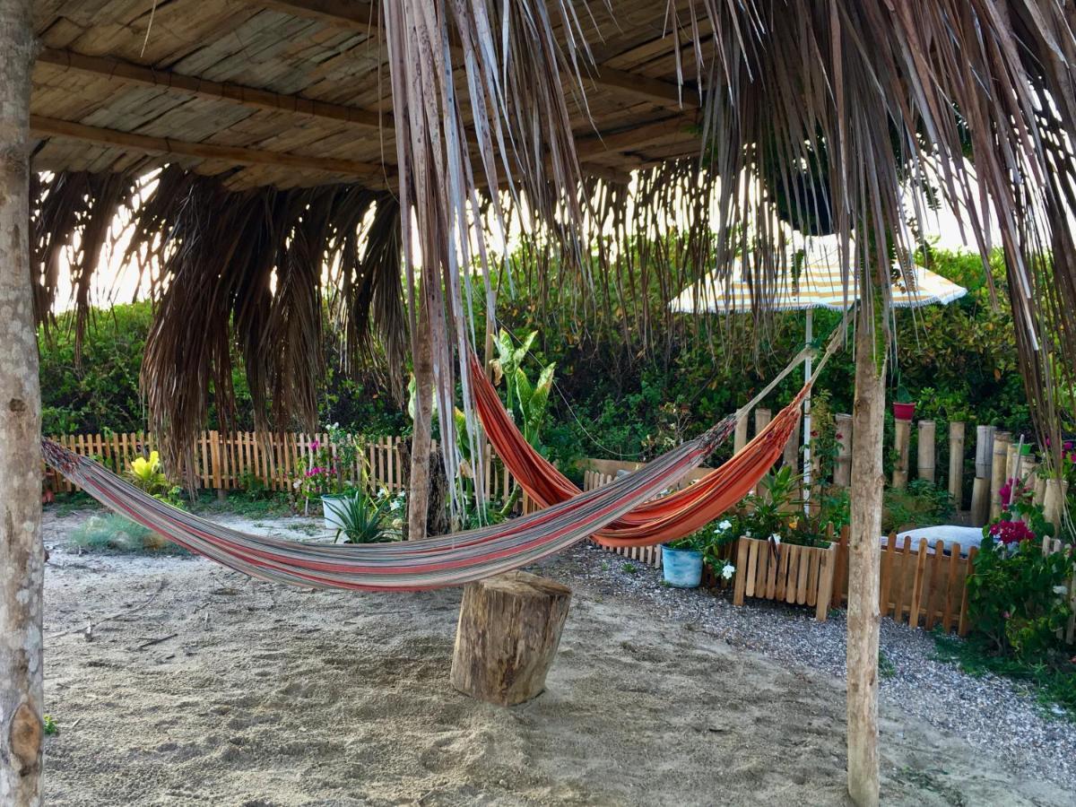 Nativo * Playas